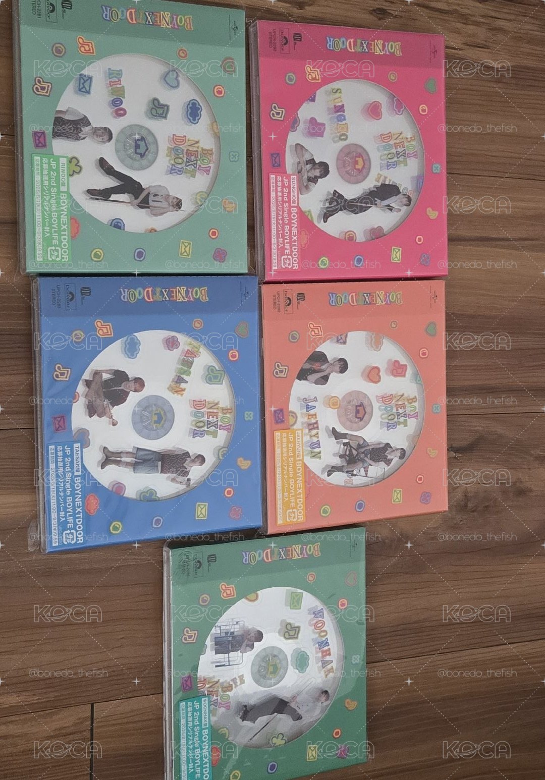 BOYLIFE 個人單封（含個人專卡+透卡）