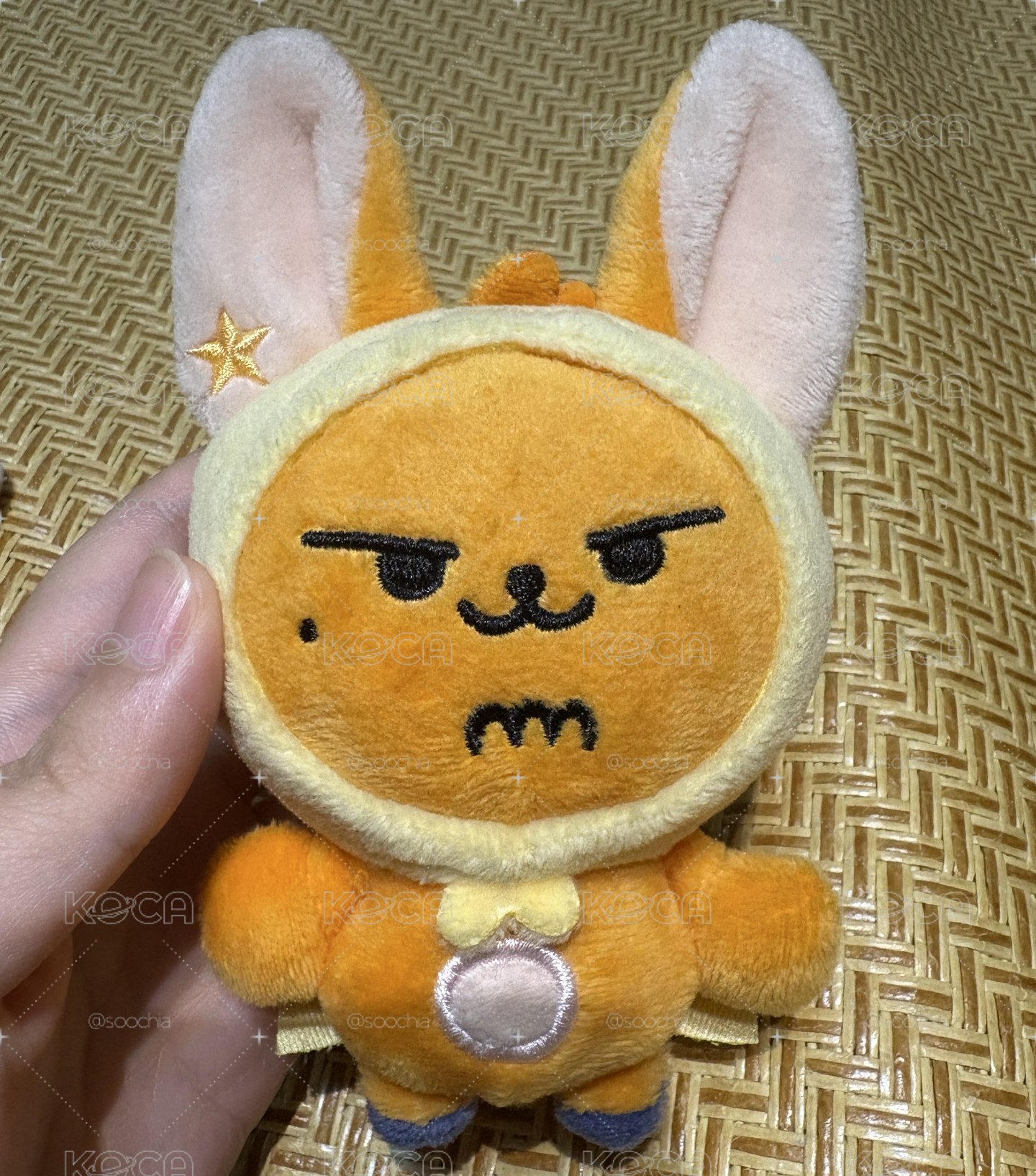 現貨原皮黃春