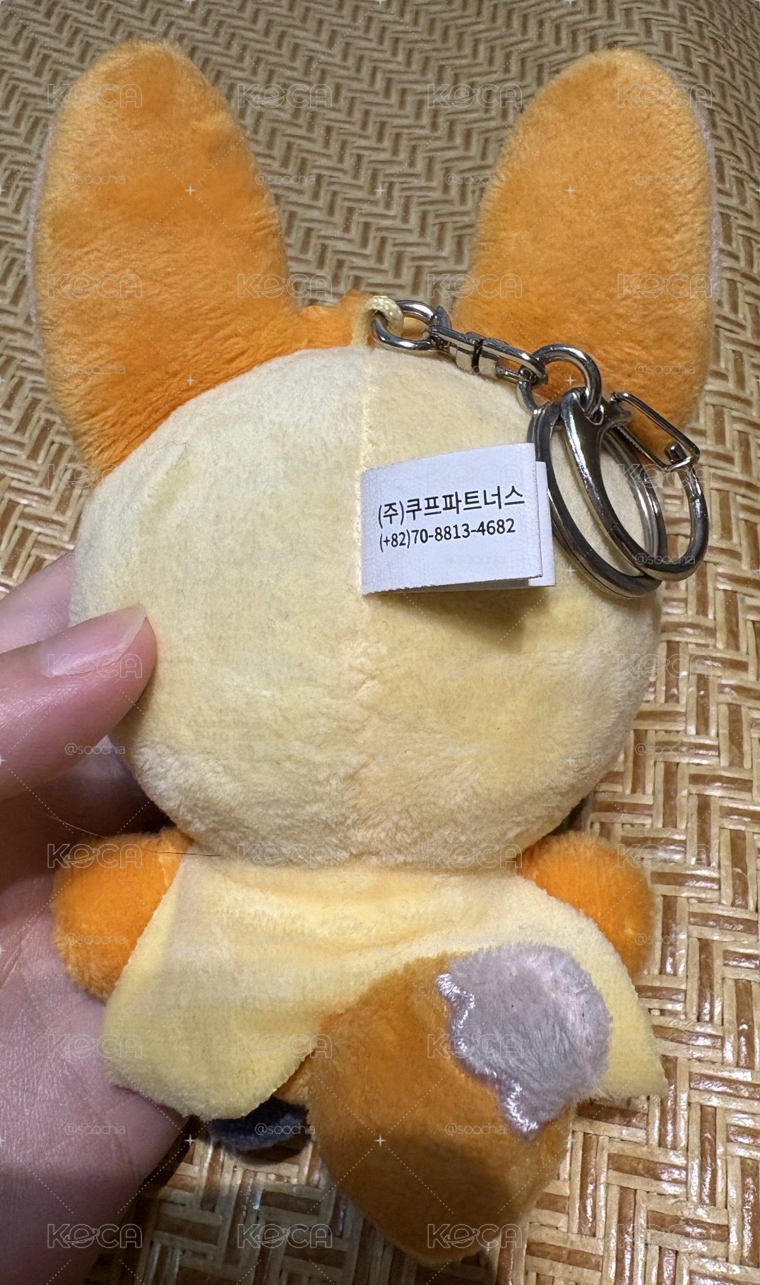 現貨原皮黃春