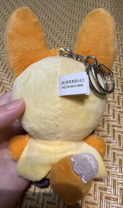 現貨原皮黃春