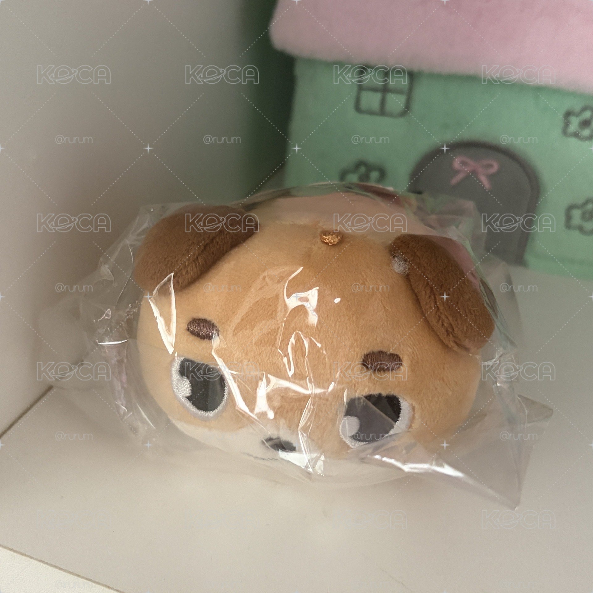 【 現貨 】DAY6 尹度云🐶趴娃/行李吊牌