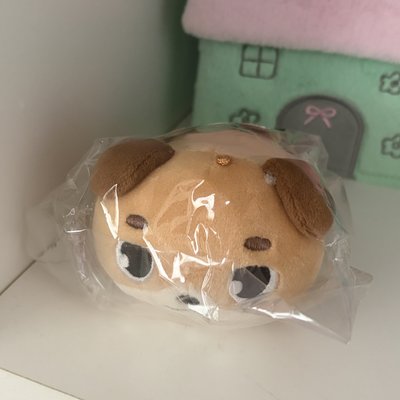 【 現 】DAY6 🐶趴娃/行李吊牌/髮夾