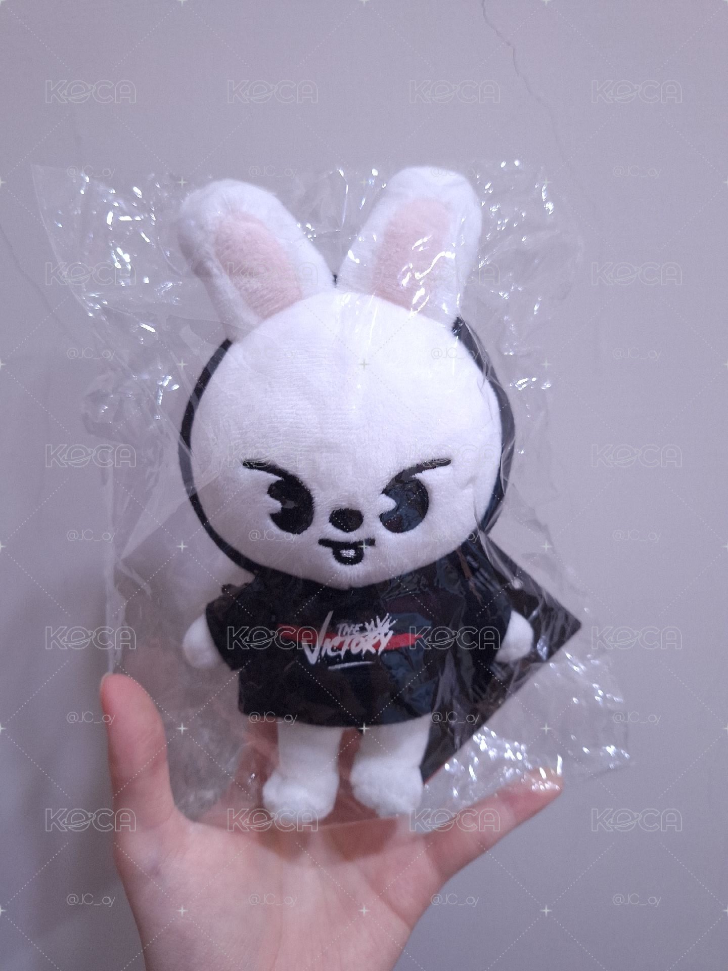 stray kids leebit 小娃