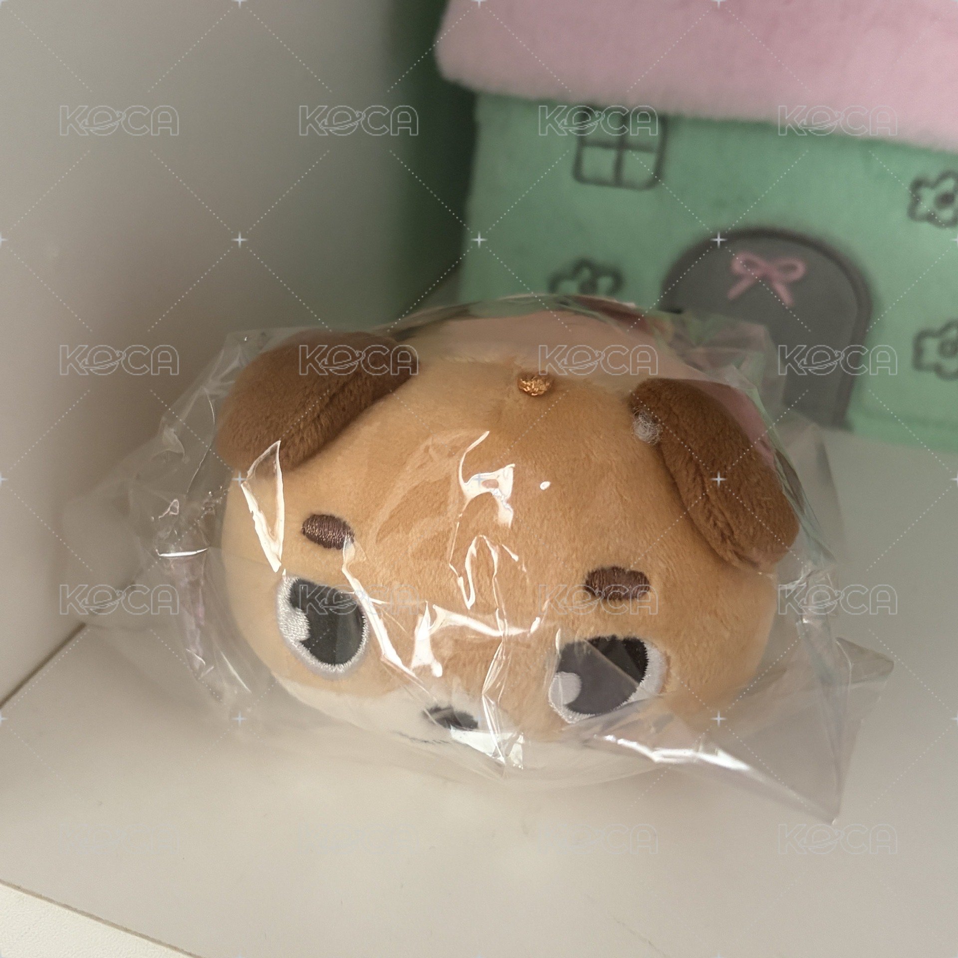 🐶趴娃