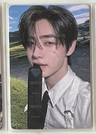 正二yzy2.0 中背成訓