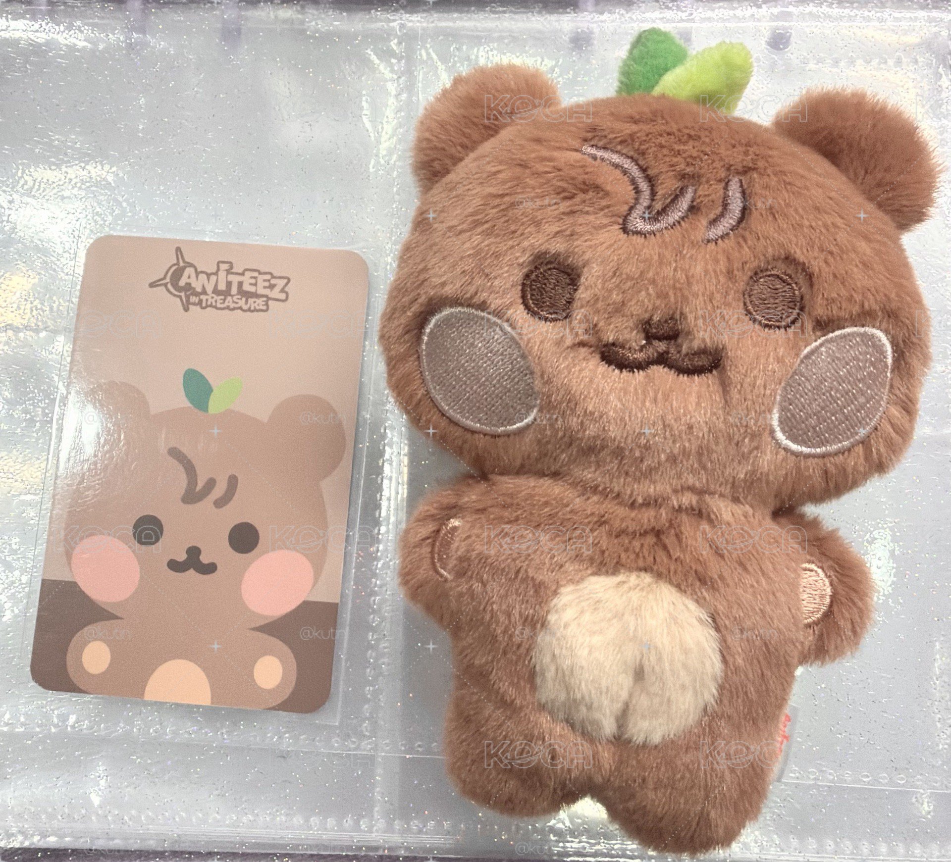 鍾貝爾豆豆眼