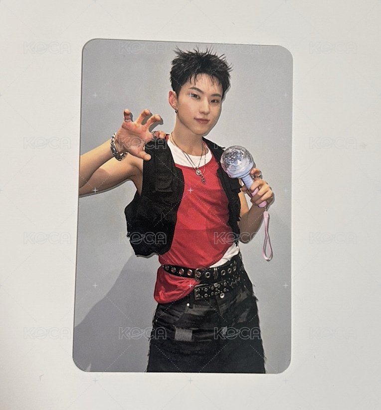 Hoshi（右下角有摺痕  眼睛部分有刮痕