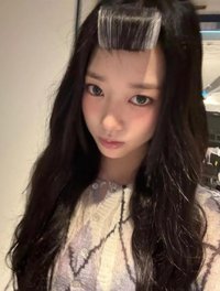 金采源的狗