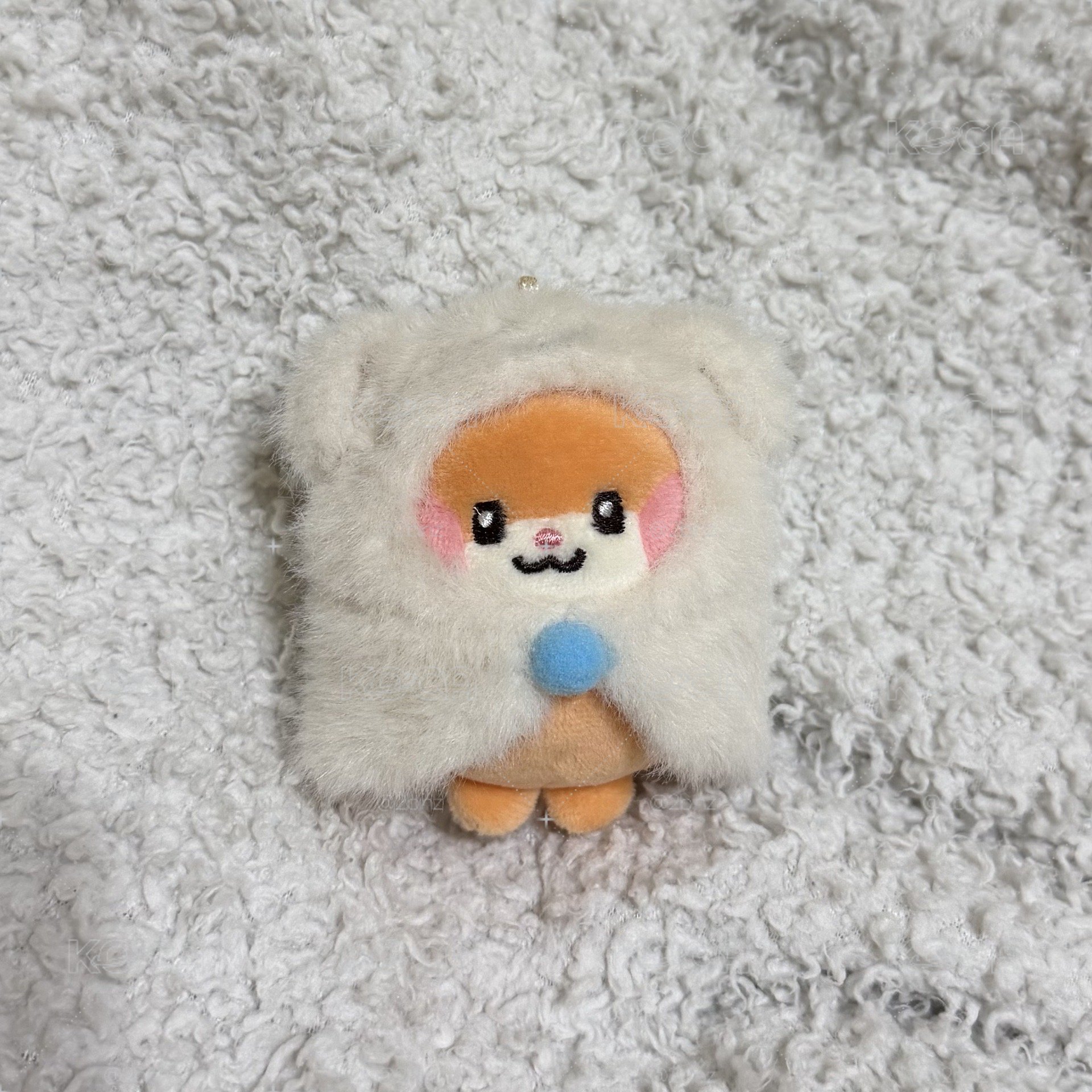 🐹斗篷娃