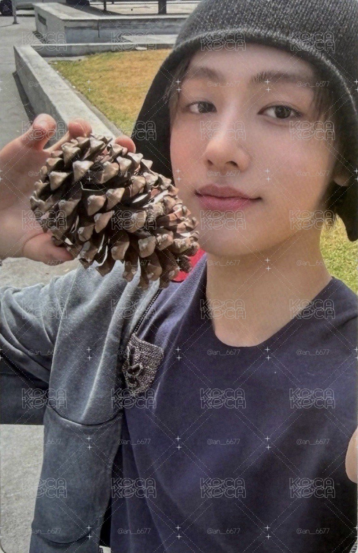 松果玹