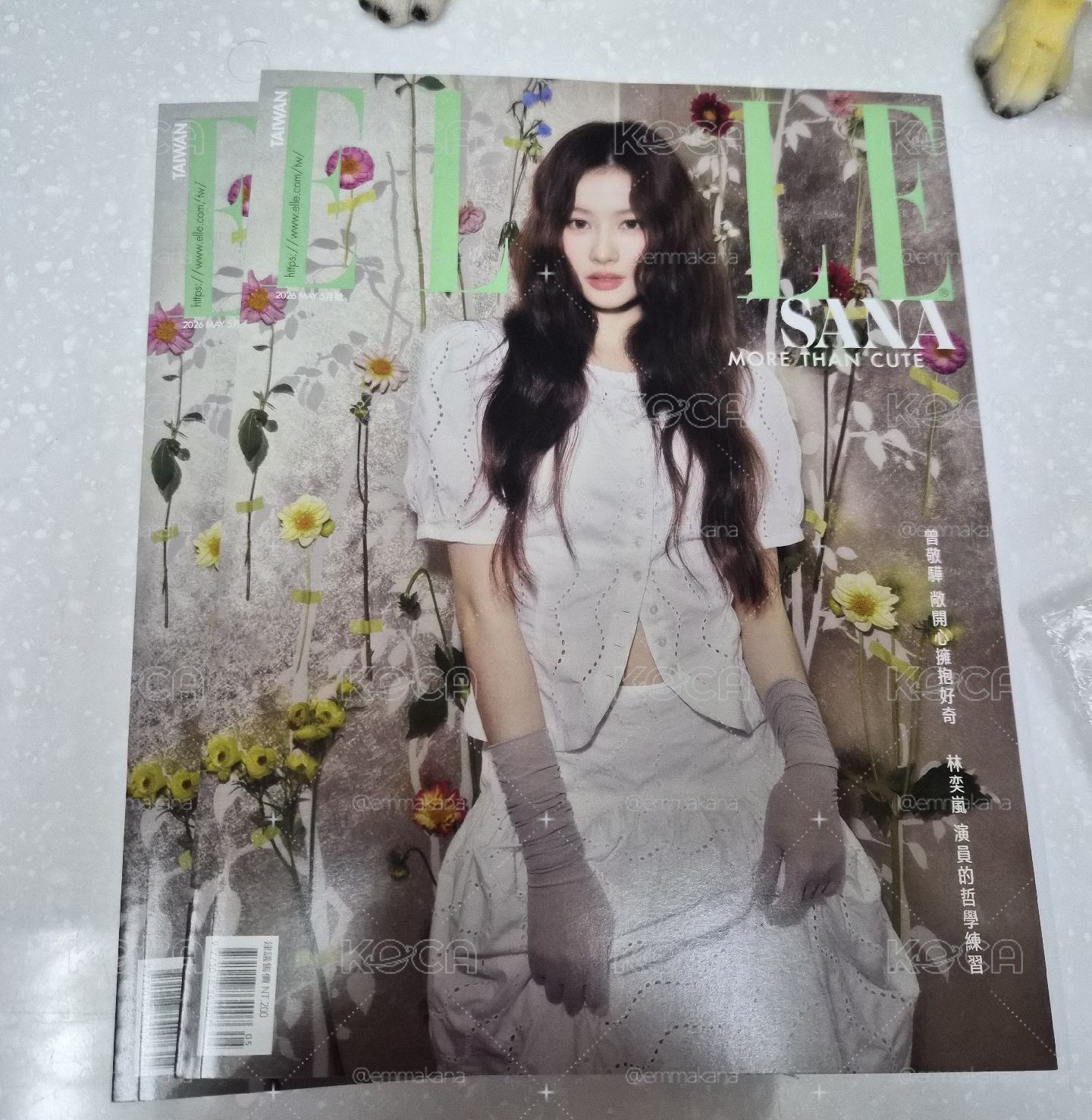 SANA ELLE 台灣