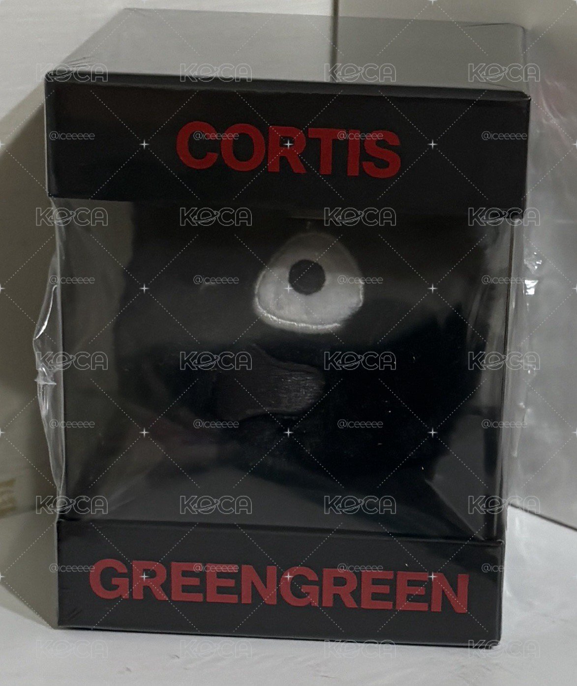 Cortis 迷二 TNT 黑球專 全新現貨