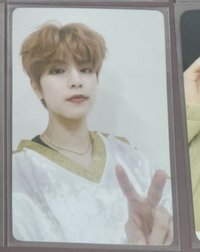 一起在星雨下許願吧