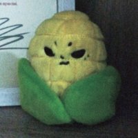 玉米🌽