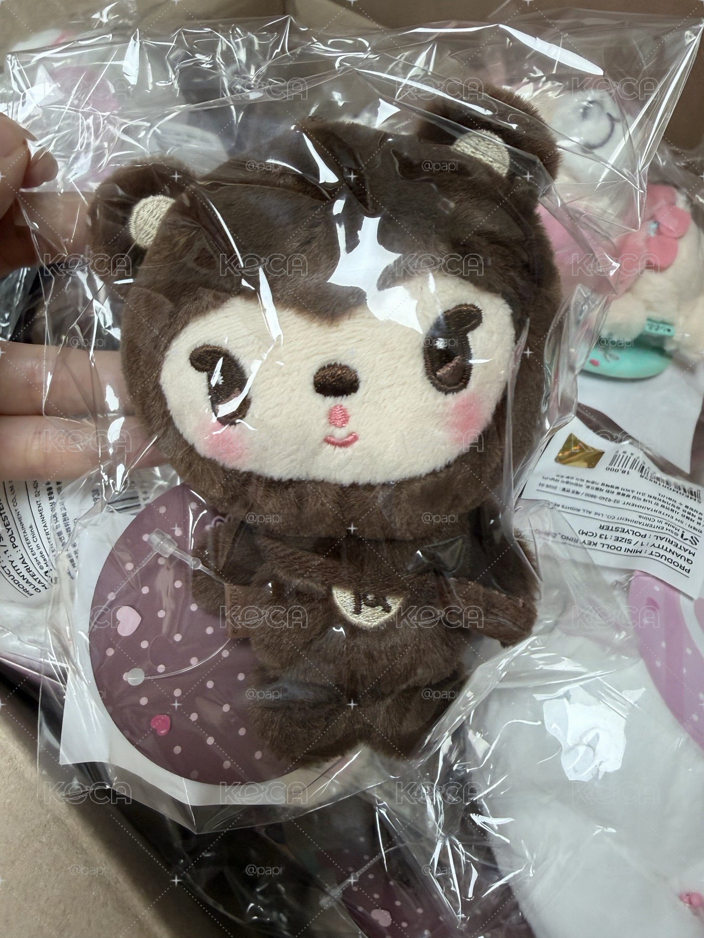 六巡 吊娃 Nini Bear