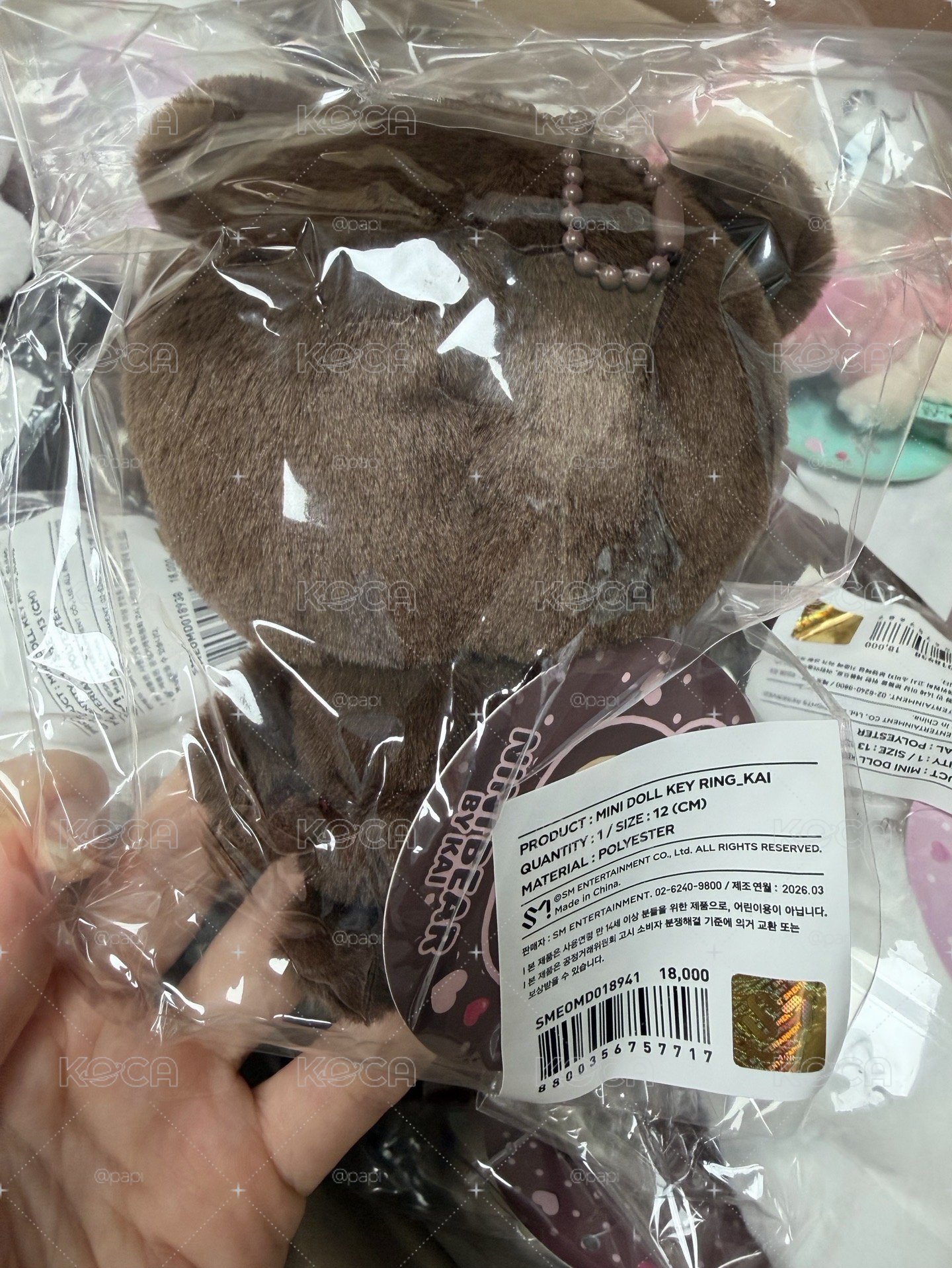 六巡 吊娃 Nini Bear
