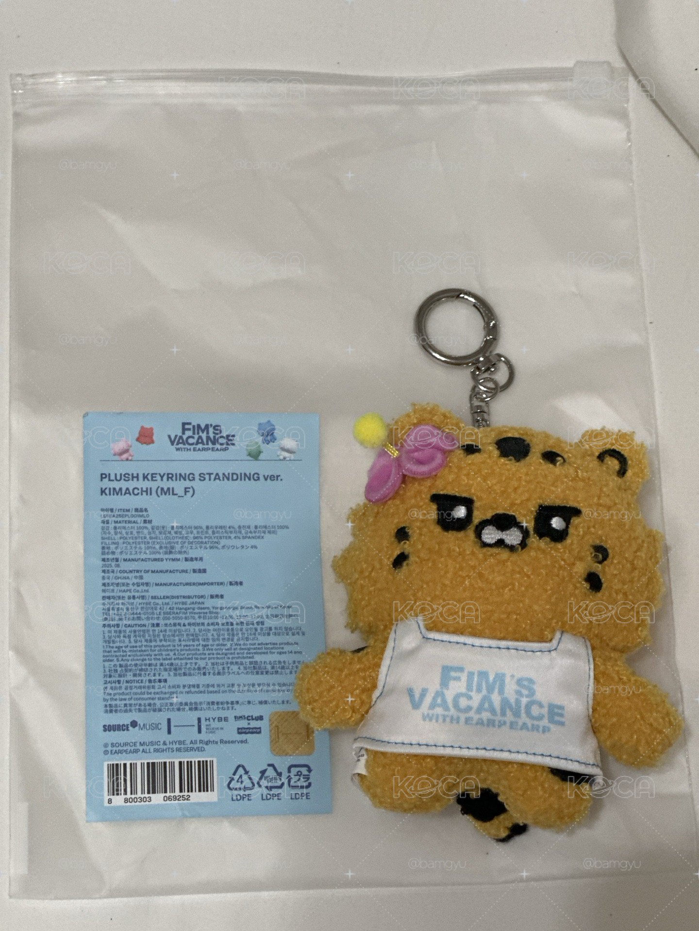 夏日娃 金阿奇