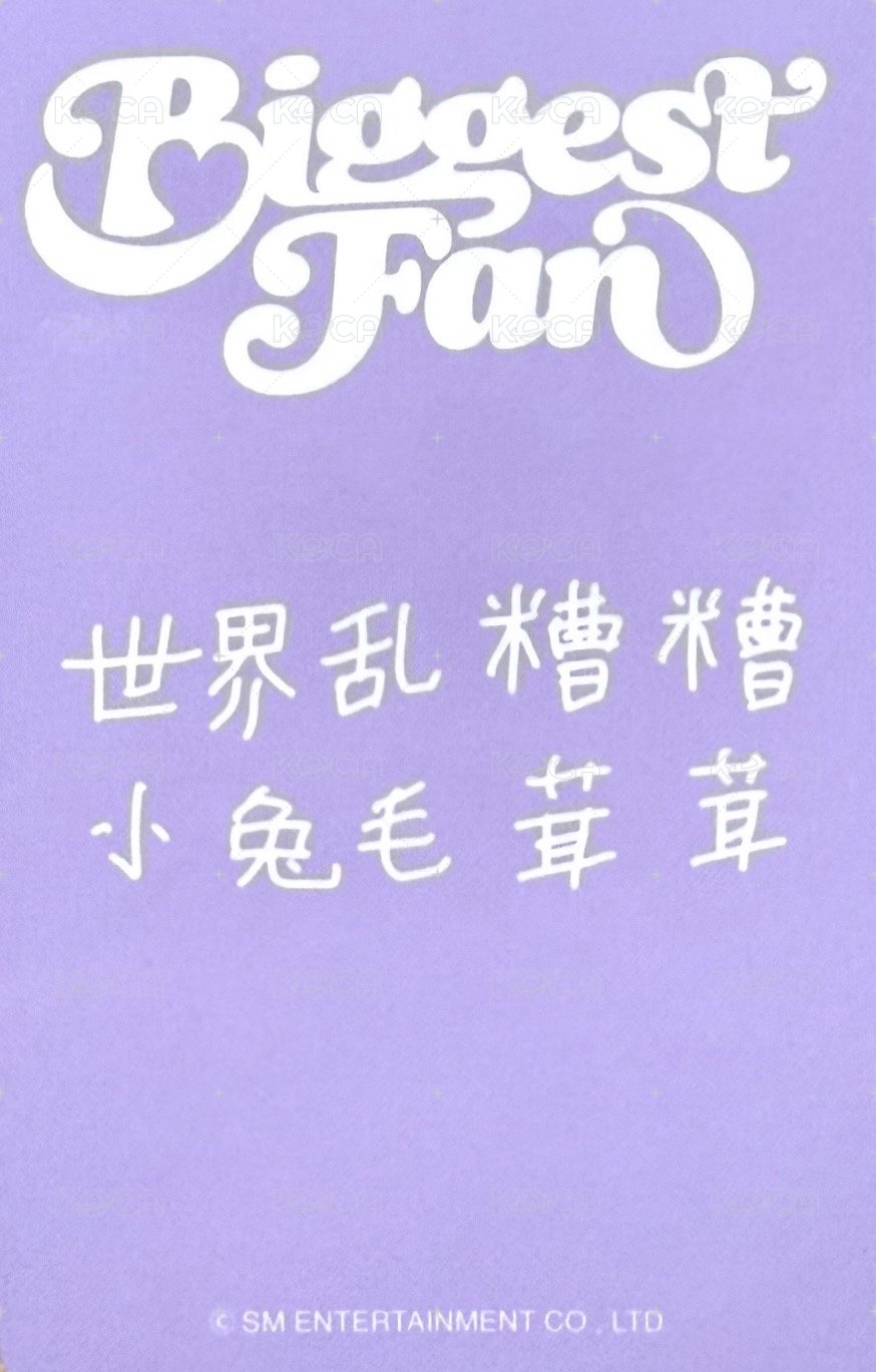 Biggest Fan 小芒 深圳合照 簽售卡  背面