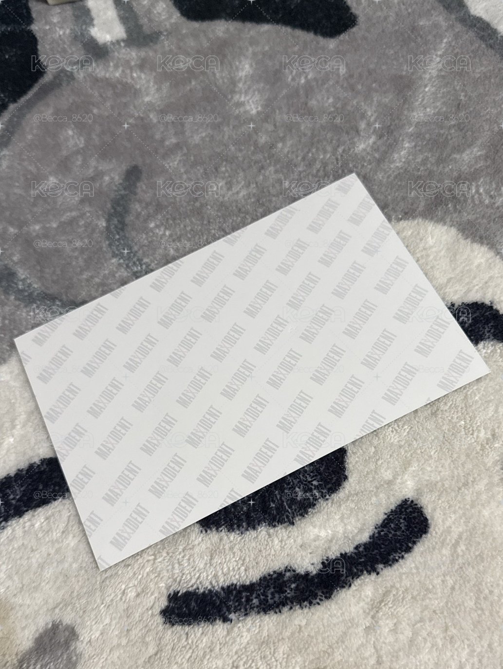 燦🐺 MAXIDENT sw 2.0 C版 明信片 