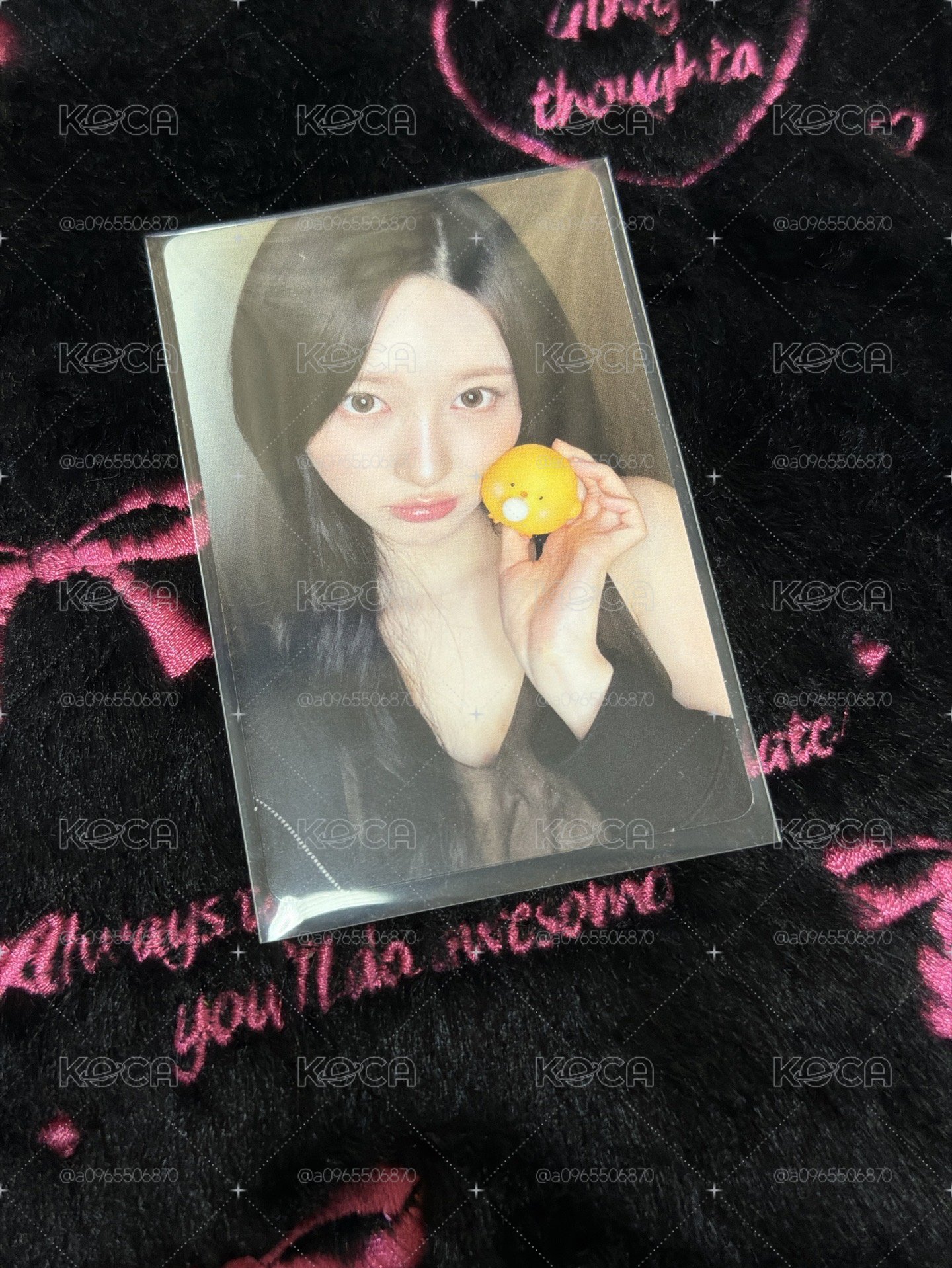 K4小雞秋🐤