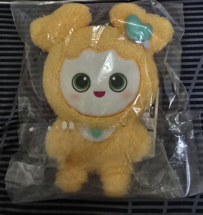 售現貨 志效 絨毛娃 遊戲卡