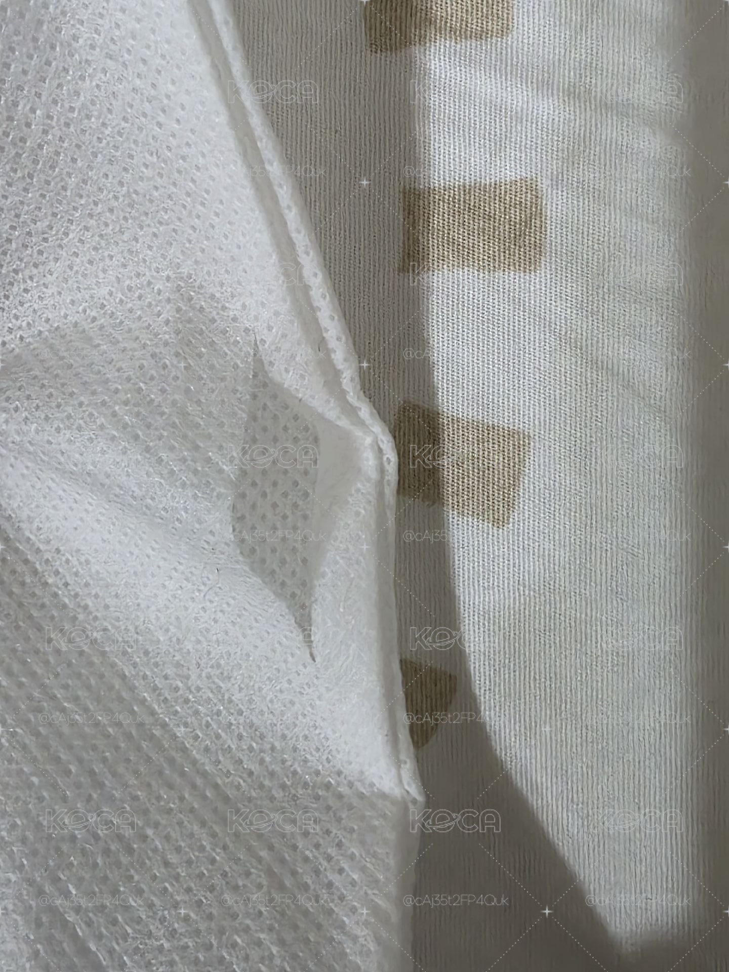 小耽耽