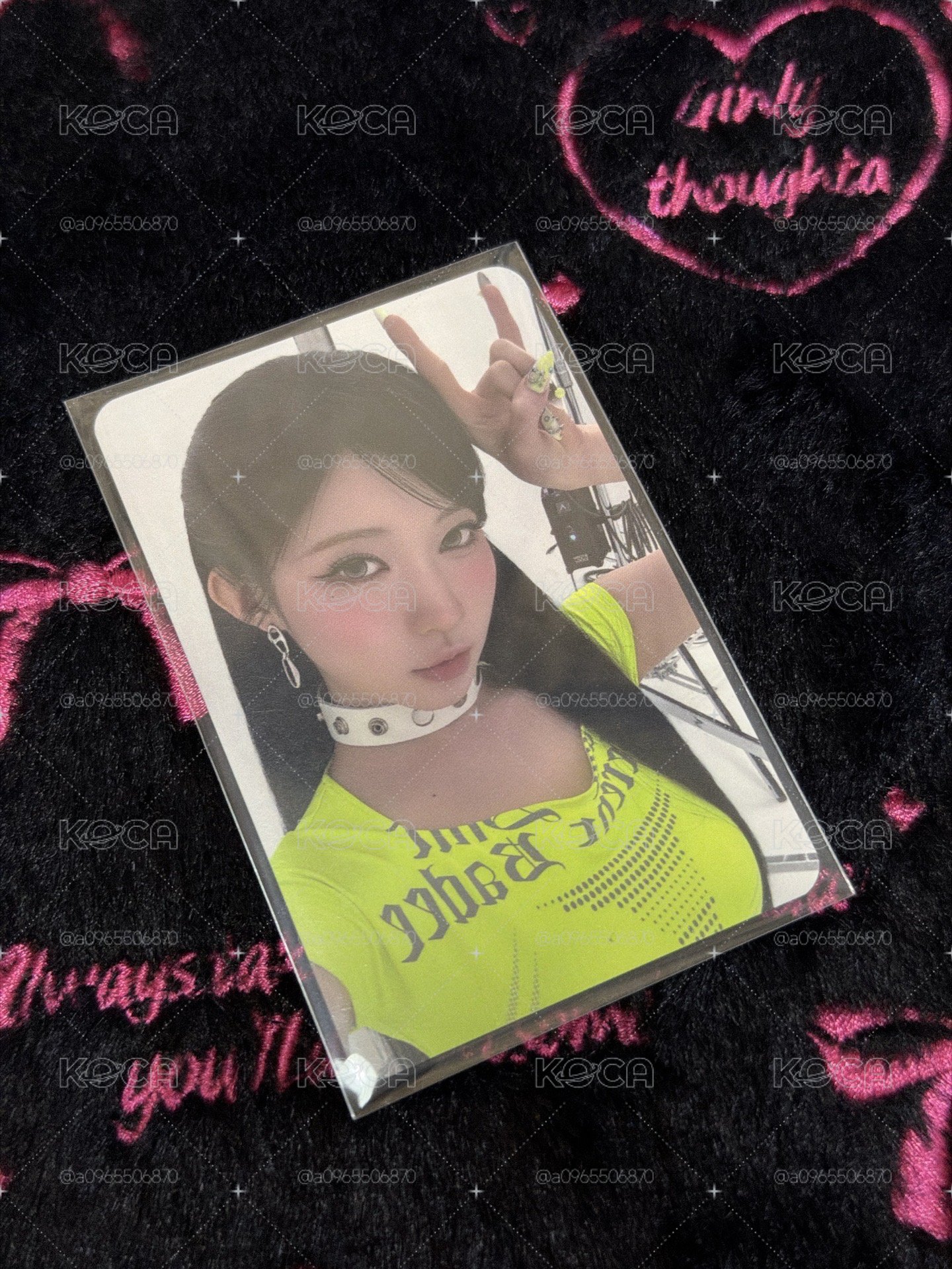 S.H.I.T 隨機卡自拍角 🐰🤟