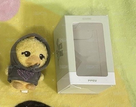 帽T莎娃