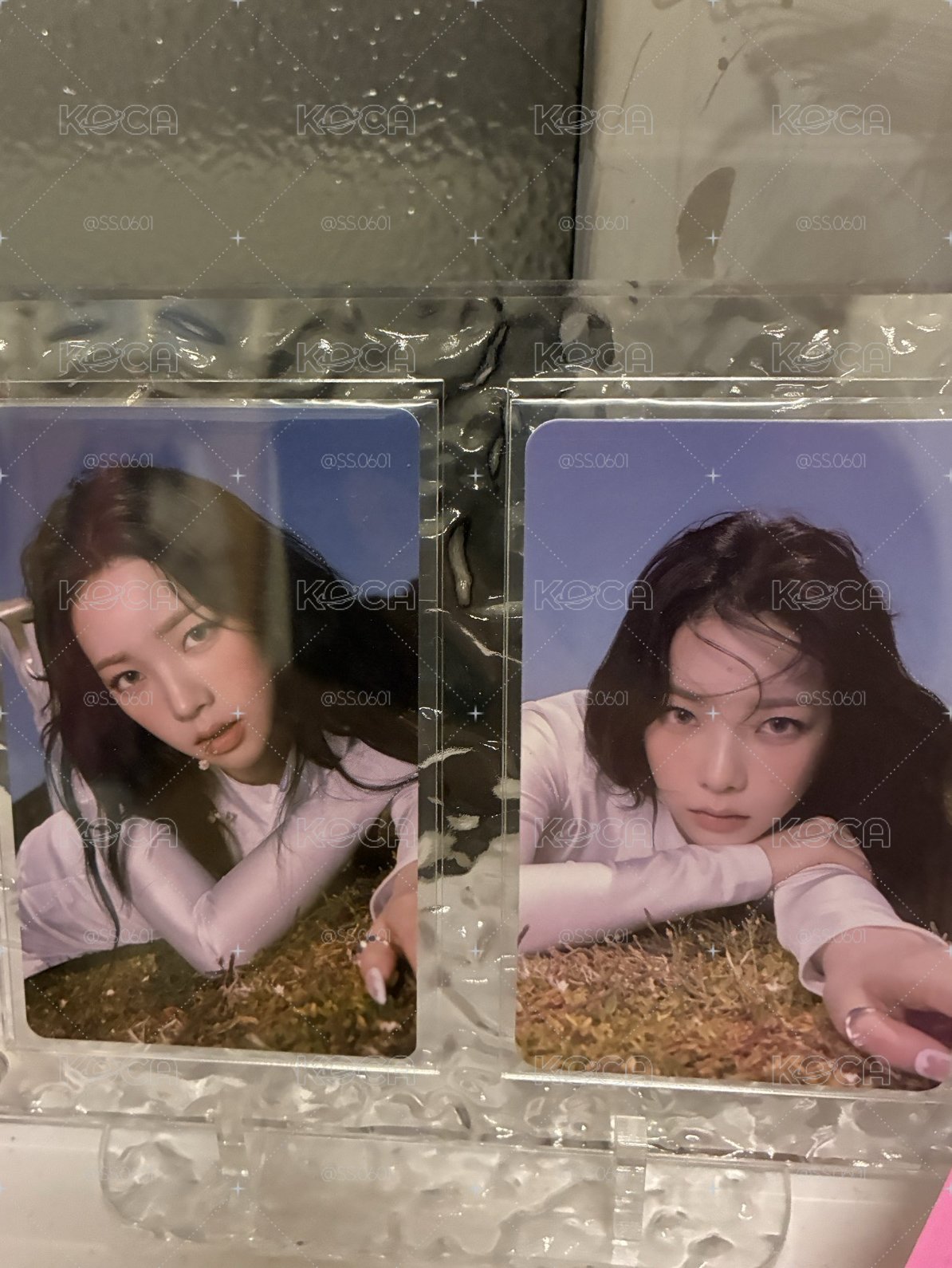 浴球柚神女柚