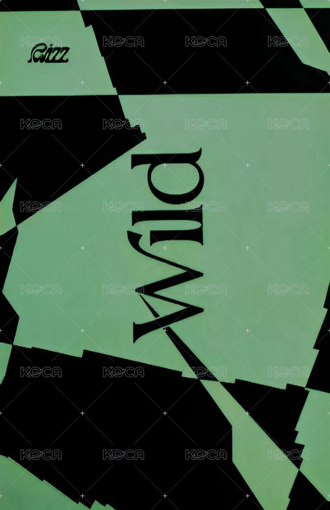 RIZZ 專輯卡  背面