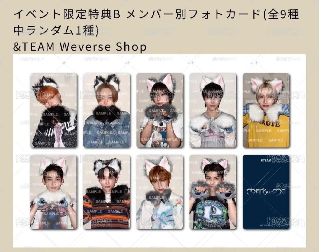 &TEAM*ੈ✩‧₊WVS SC B版