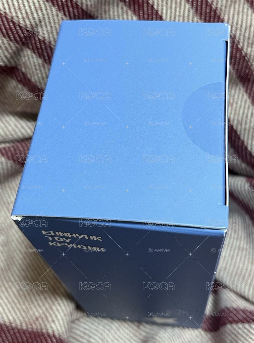 拳擊兔娃盤