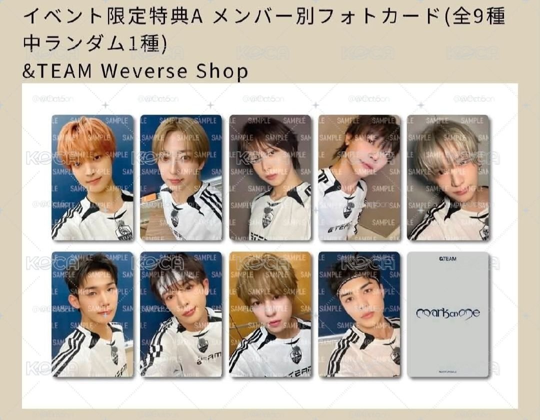 &TEAM*ੈ✩‧₊WVS SC A版