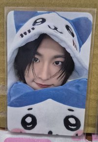 小八星