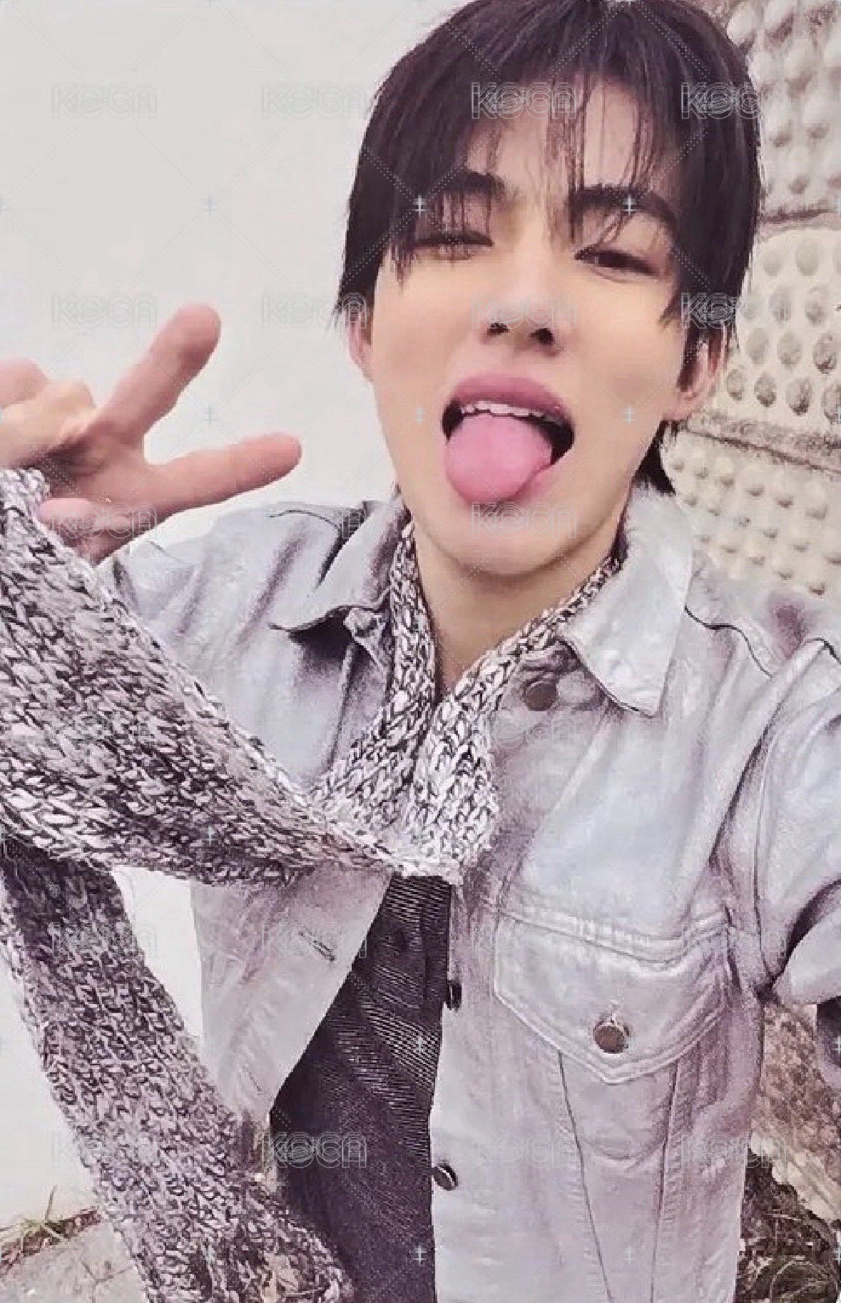 Bridge ver 專卡