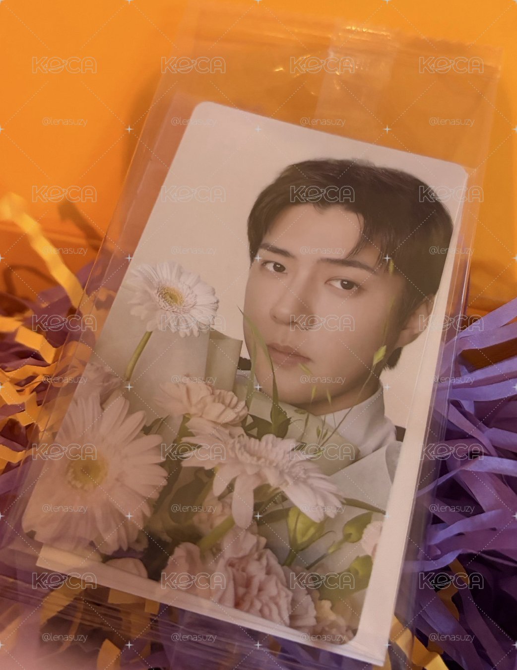 Reverxe 小芒特典卡 E 世勳