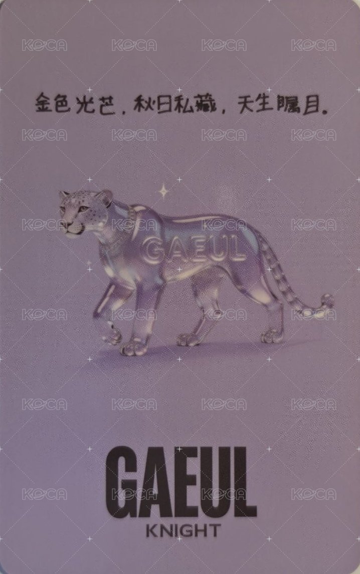 KNIGHT雜誌 A版拍立得 雜誌卡  背面