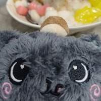 乳液