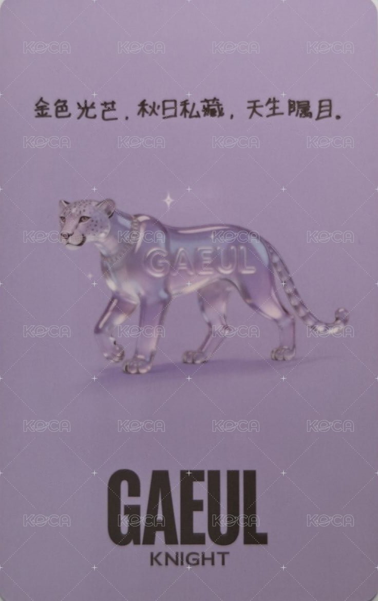 KNIGHT雜誌 A版拍立得 雜誌卡  背面