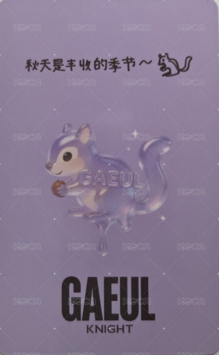 KNIGHT雜誌 C版拍立得 雜誌卡  背面