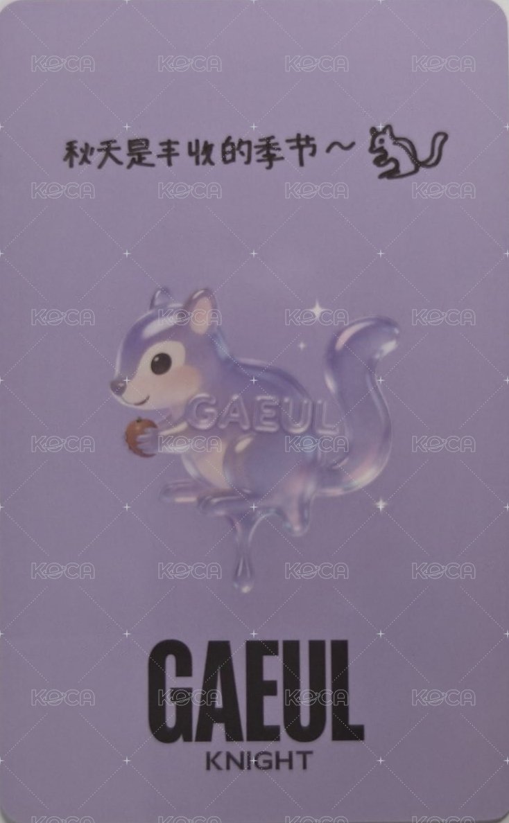 KNIGHT雜誌 C版拍立得 雜誌卡  背面