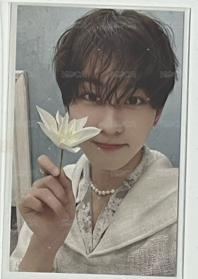 ❤️拿花元（450）