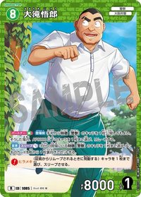 TCG P10 R 卡牌遊戲 08