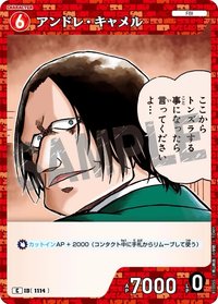 TCG P10 C 卡牌遊戲 10