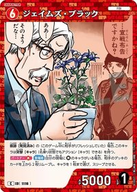 TCG P10 C 卡牌遊戲 10