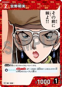 TCG P10 C 卡牌遊戲 10