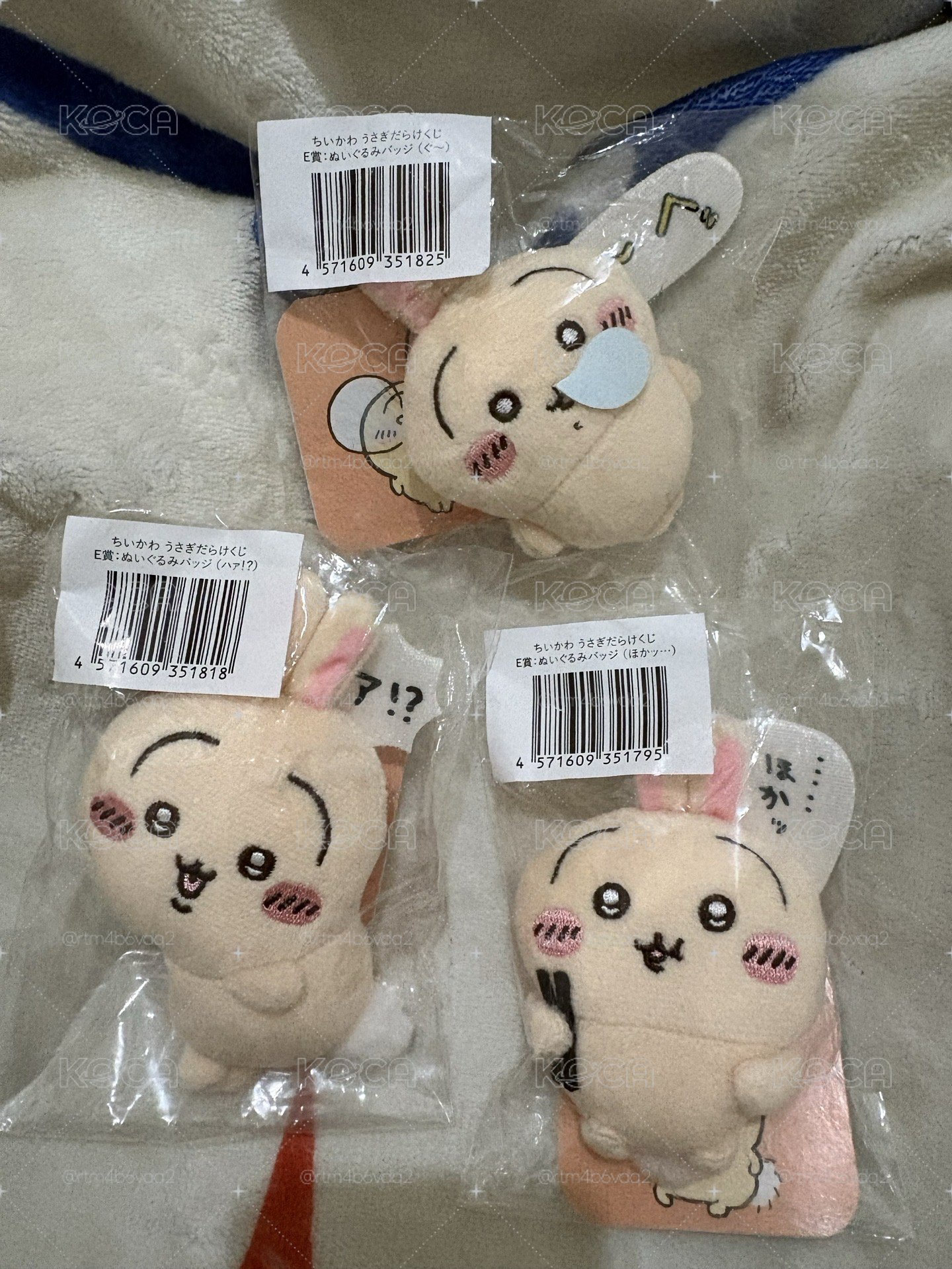 兔兔一番賞 SS娃 E賞玩偶別針