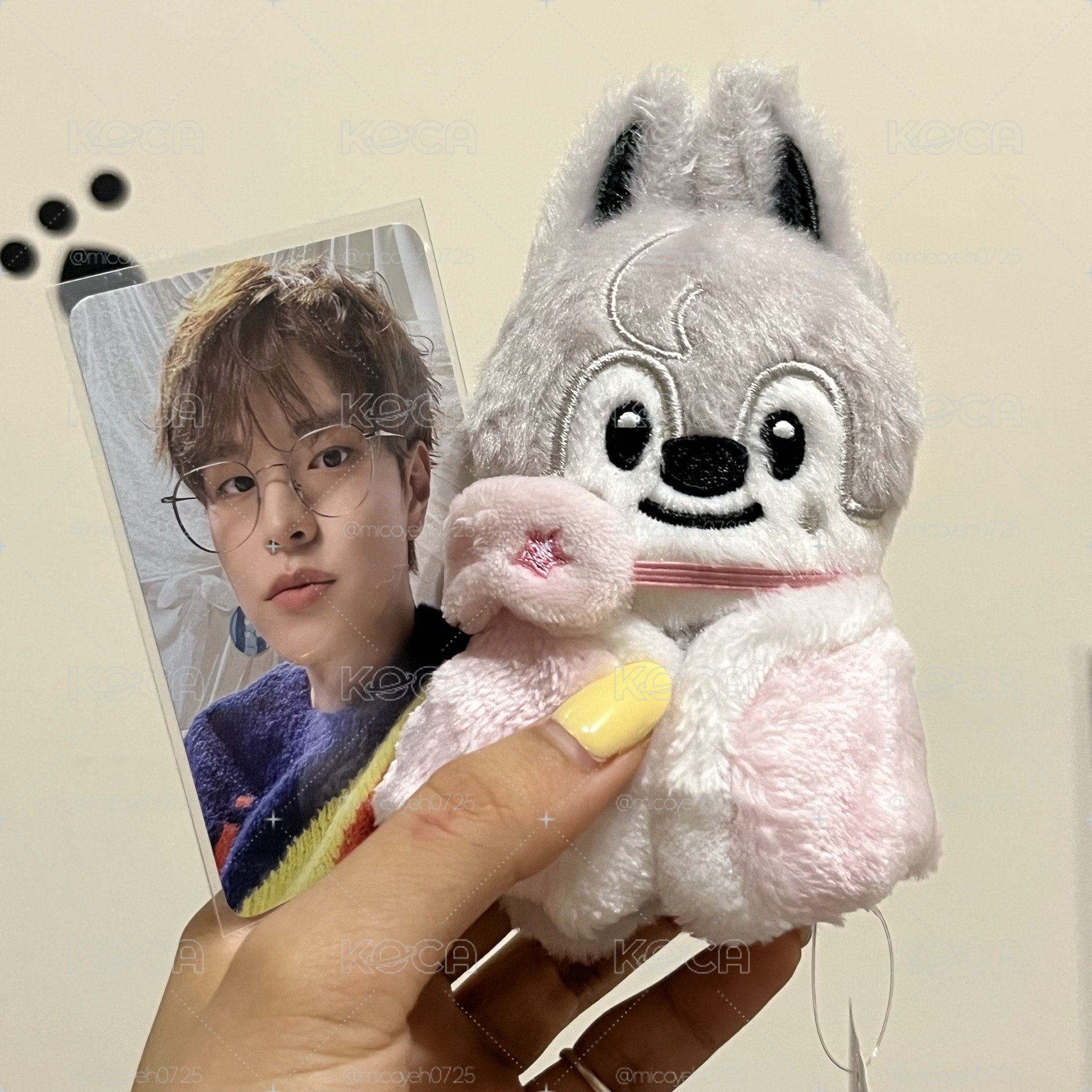 6期飯咪 🐺眼罩娃送🐶線下滿額