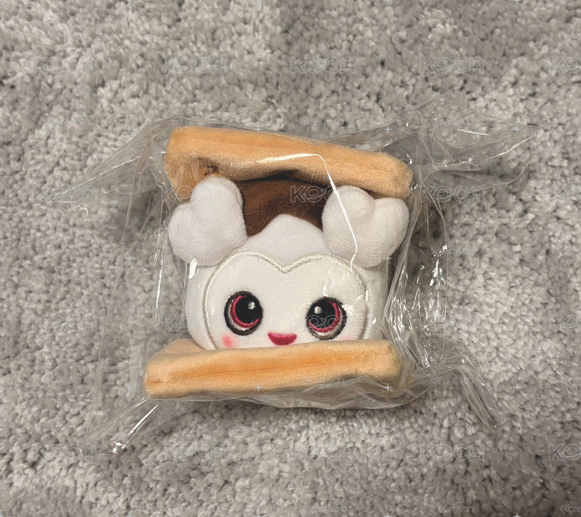 TWICE 多賢餅乾娃 (全新未拆）