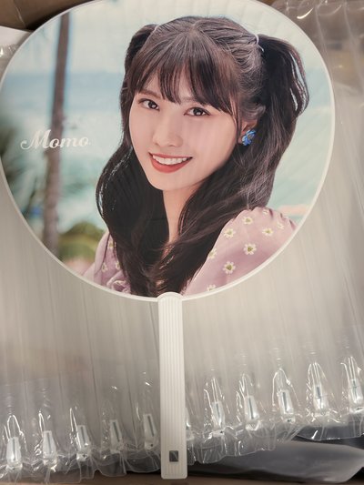 （現貨4支一組出 紙箱寄出）twice momo 日巡 大扇 扇子 日本場 平井桃 演唱會 快閃店 應援扇 大王扇 世巡